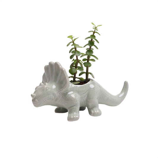 Almost Aqua Triceratops Planter