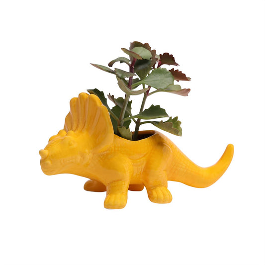 Lemon Chrome Triceratops Planter