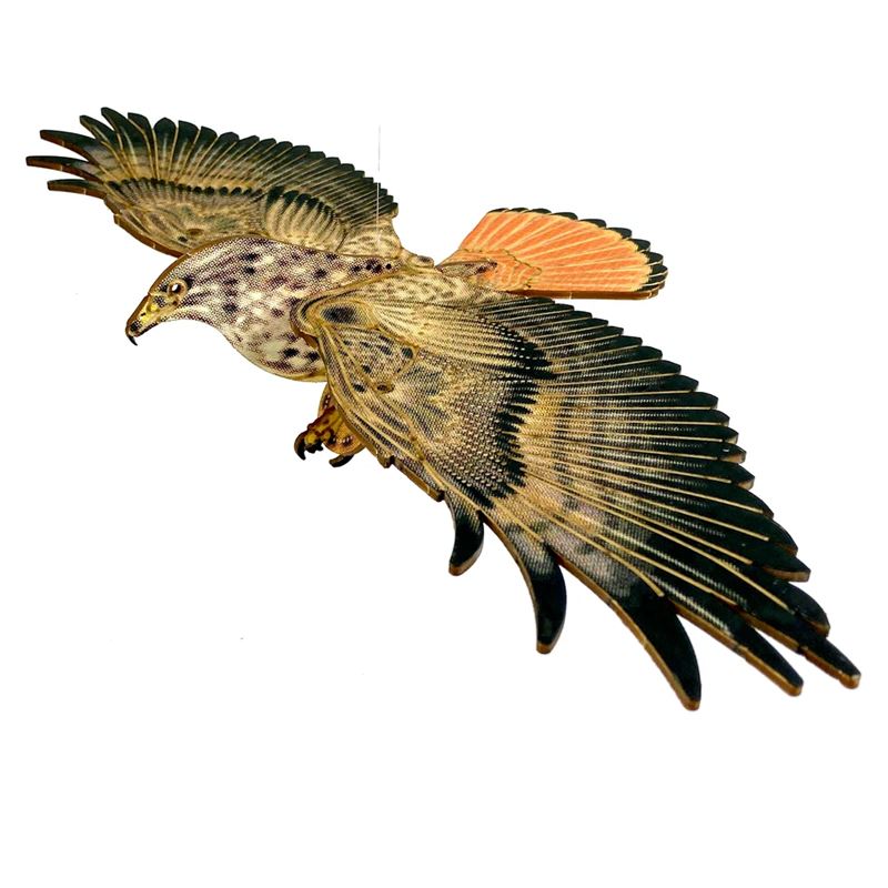 Red Tail Hawk Model & Mobile