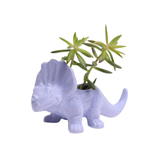 Halogen Blue Triceratops Planter