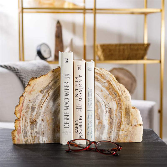 Brown Petrified Wood Bookend Set