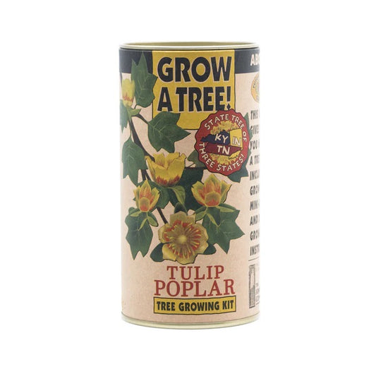 Tulip Poplar Grow Kit