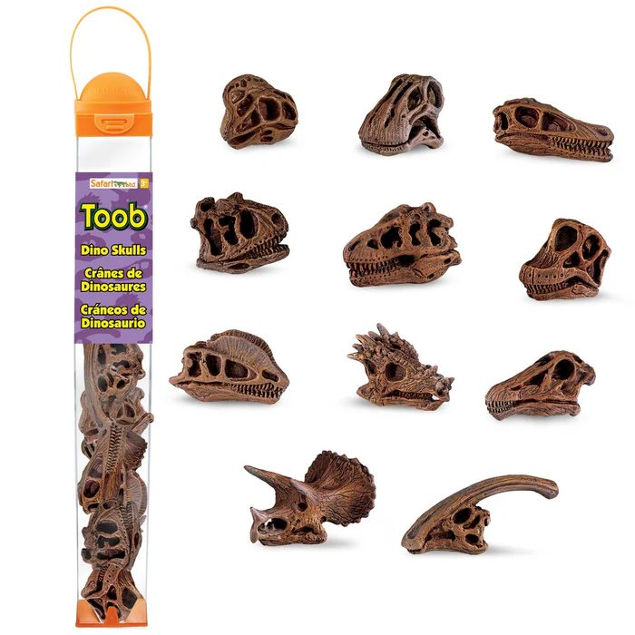 Dinosaur Skulls TOOB