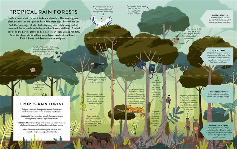 Let's Save Our Planet: Forests - Discover the Facts. Be Inspired. Make A Difference.