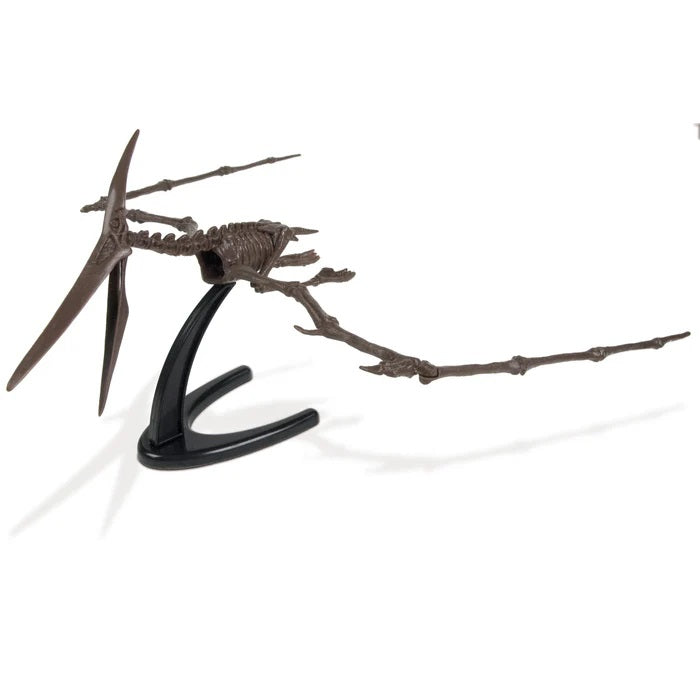 Flying Monsters Excavation Kit - Pteranodon