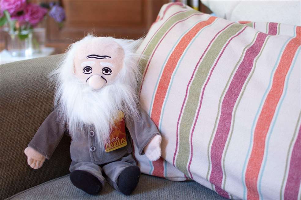 Darwin Little Thinker Plush