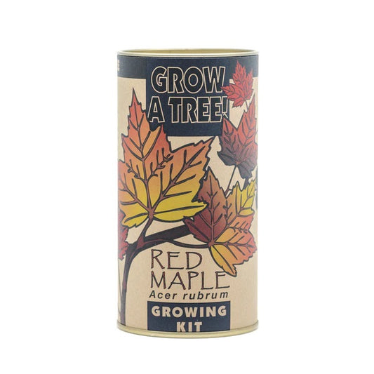 Red Maple Tree Grow Kit