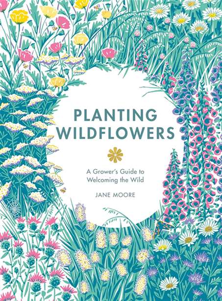 Planting Wildflowers: A Grower's Guide