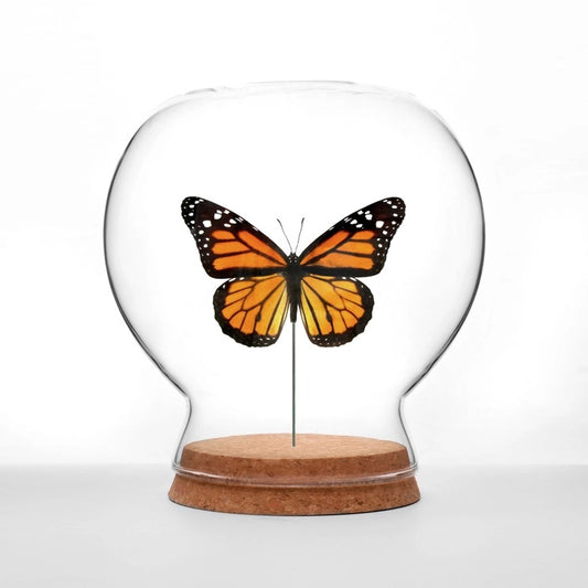 Monarch Butterfly Globe