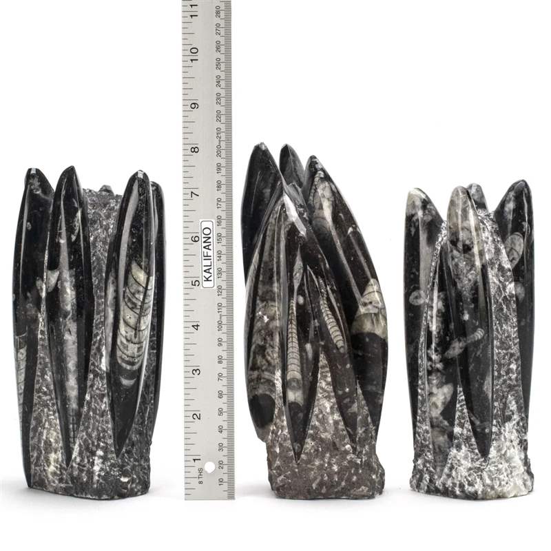 Orthoceras Fossil Tower