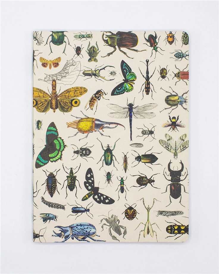 Insects Softcover Notebook