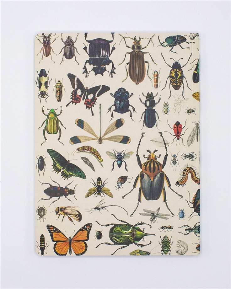 Insects Softcover Notebook