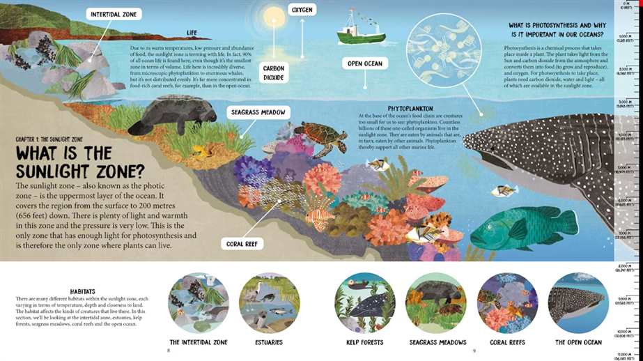 A detailed photo showing "What is the Sunlight Zone" and the various creatures that live at each layer.