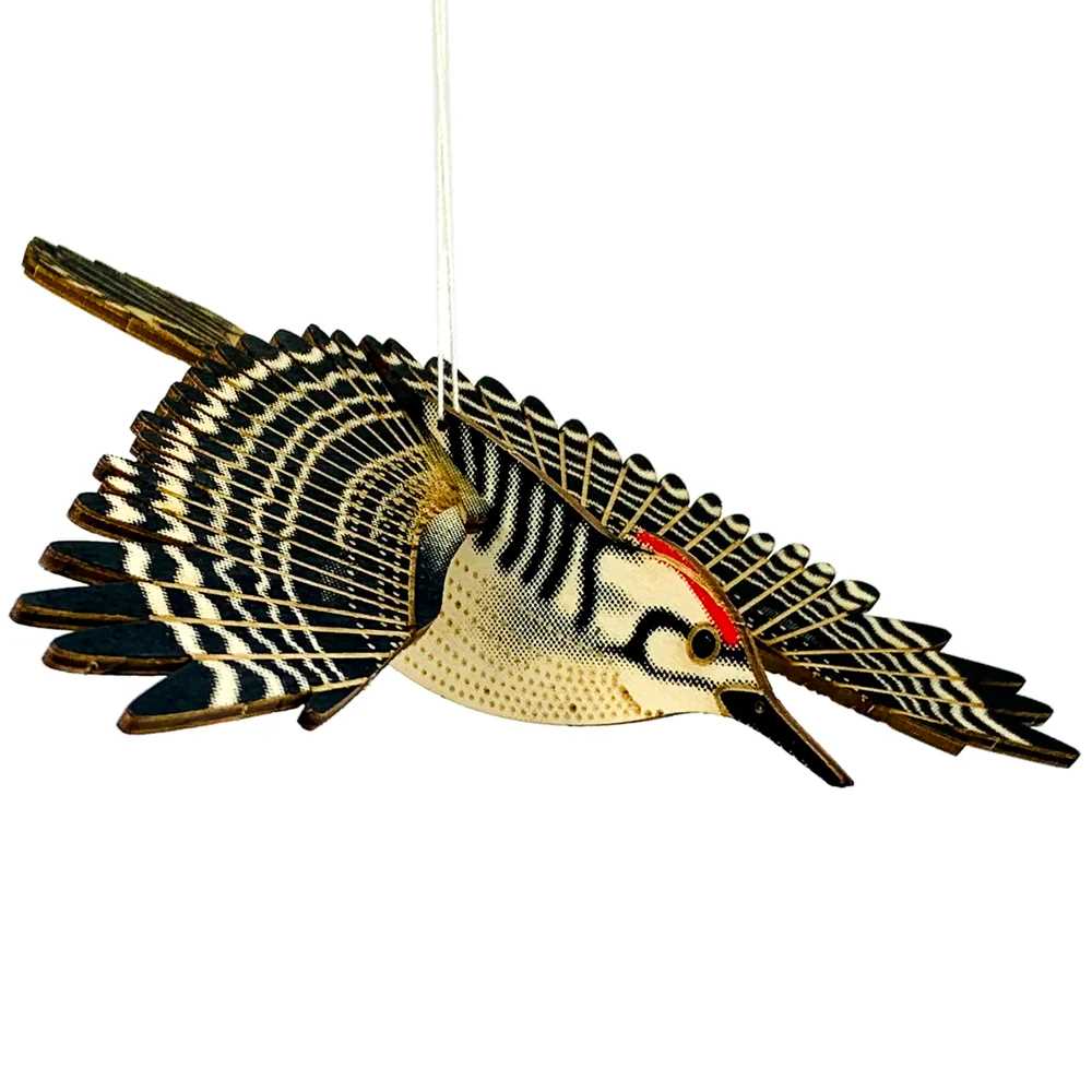 Woodpecker Model & Mobile