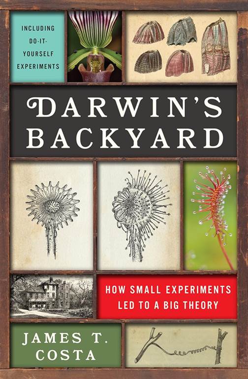 Darwin's Backyard: How Small Experiments Led to a Big Theory