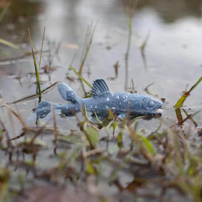 Coelacanth Figurine