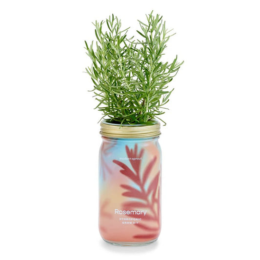 Garden Jar - Rosemary