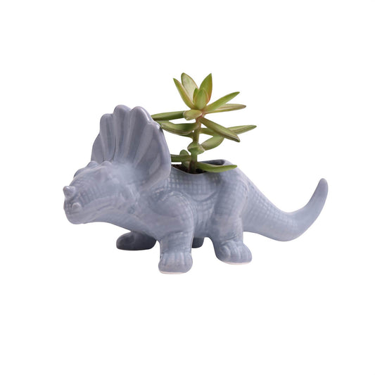 Cloud Blue Triceratops Planter