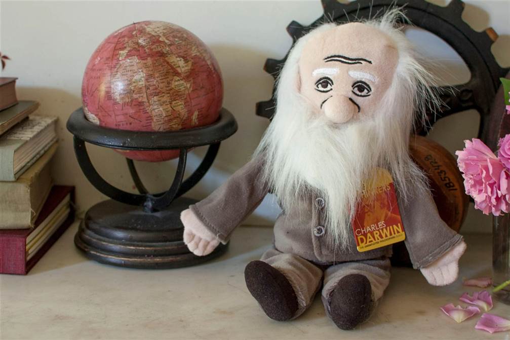 Darwin Little Thinker Plush