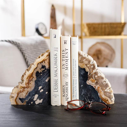 Black Petrified Wood Bookend Set