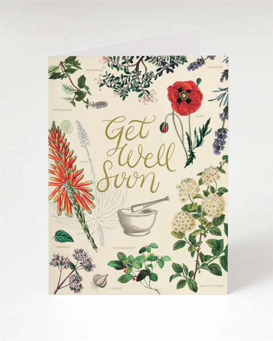 Get Well Soon Medicinal Botany Greeting Card